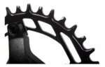 PROWHEEL CHARM 36t 175mm - Imagen 5