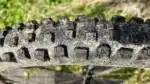 SPECIALIZED HILLBILLY GRID TRAIL 2BLISS READY T9 29x2.4 - Imagen 6