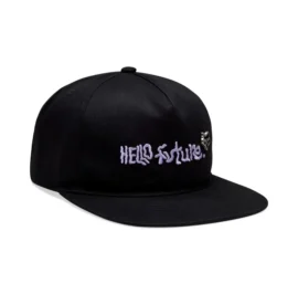 FOX HELLO FUTURE